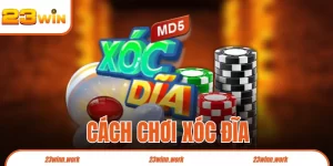 Cách Chơi Xóc Đĩa