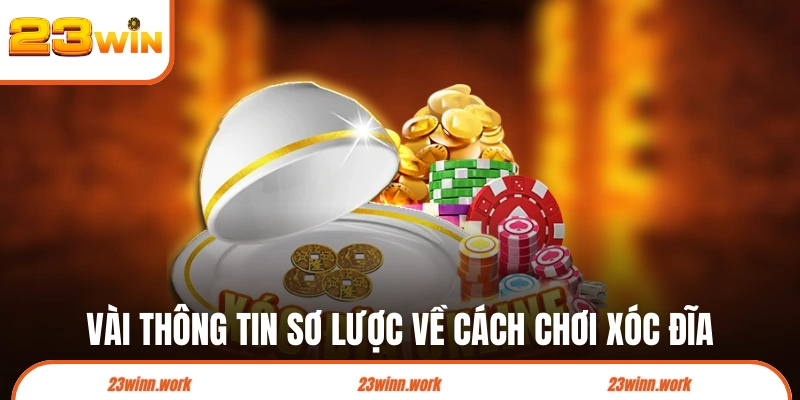 Vài thông tin sơ lược về cách chơi xóc đĩa