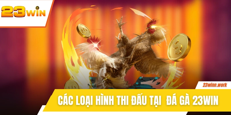 Các loại hình thi đấu hot hàng đầu tại  đá gà 23WIN