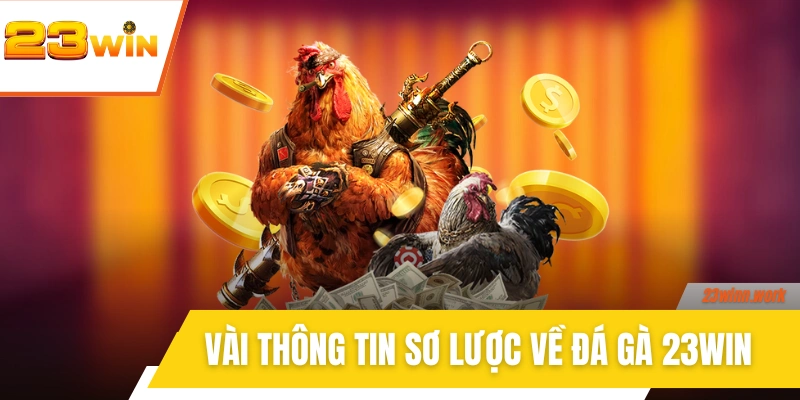 Vài thông tin sơ lược về hệ thống  đá gà 23WIN