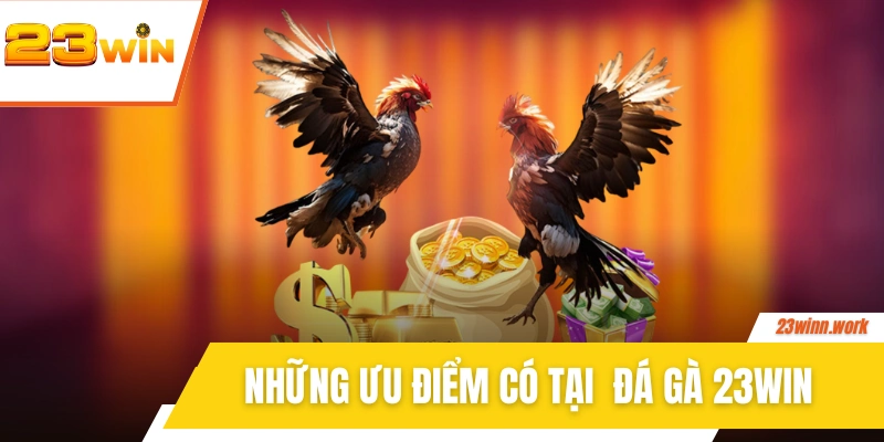 Những ưu điểm có tại  đá gà 23WIN