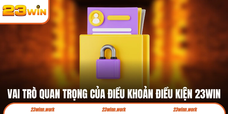 Vai trò quan trọng của điều khoản điều kiện 23WIN